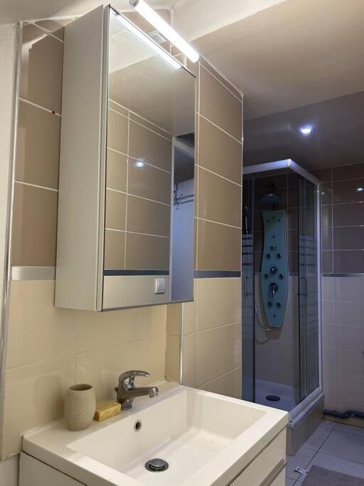 Cosy Studio - 10 Min Away From Cdg Aeroport - 30 Min Away From Paris - Parc Asterix - Olympic Games 2024 Le Thillay Exterior photo